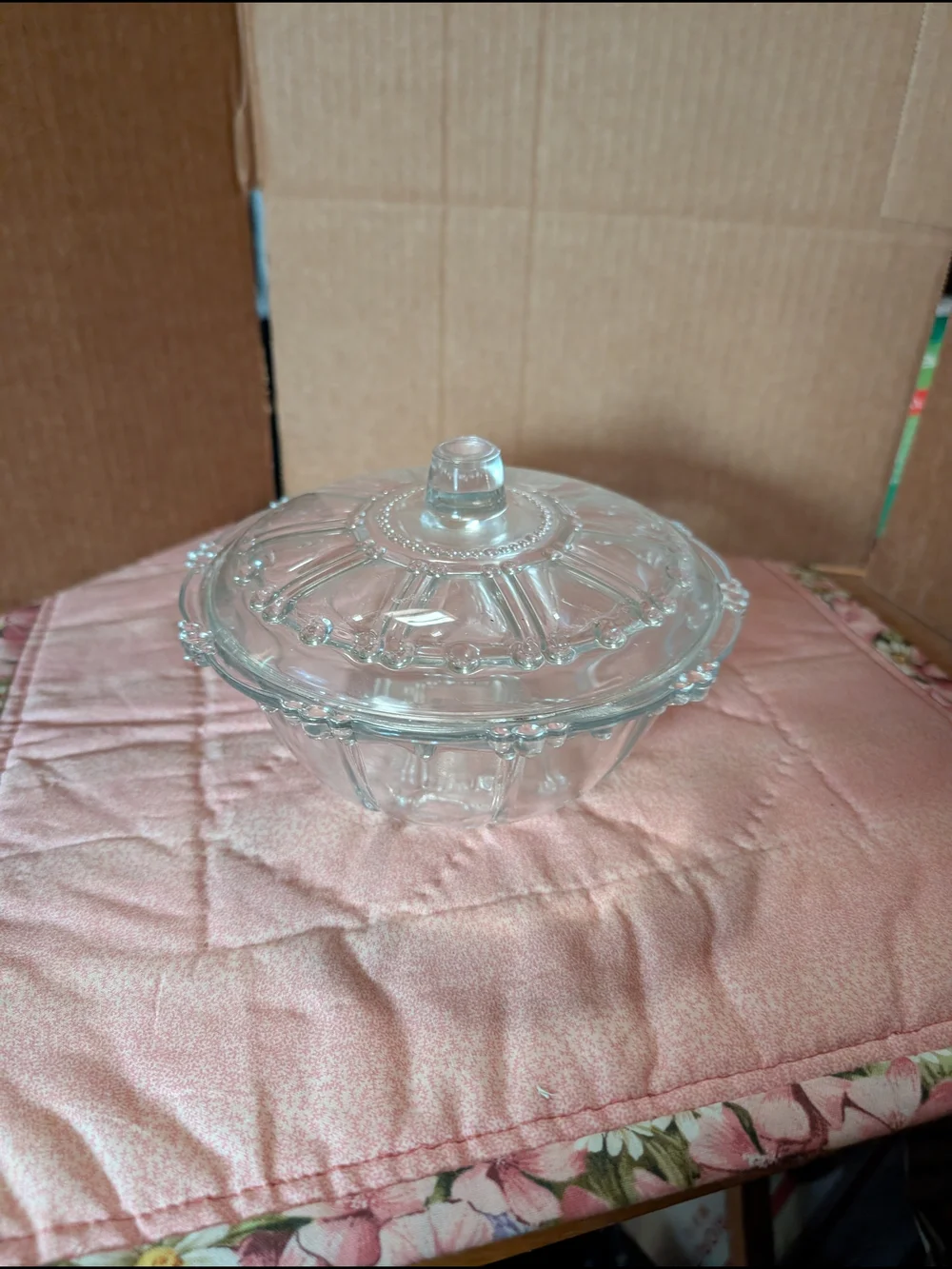 Clear Glass Covered Serving Bowl - Home Kitchen